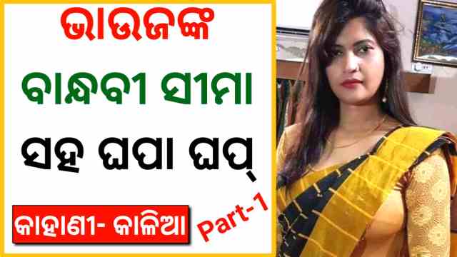sex-kahani-odia-bhauja-giha-gehi-katha