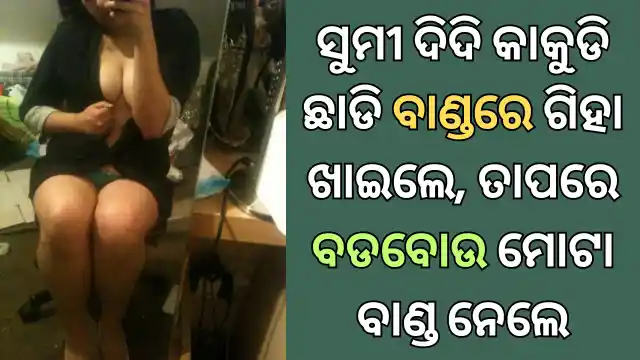 sumi didi odia sex story 2025